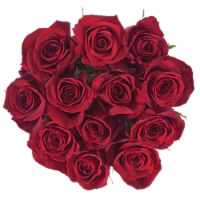 Bloom Haus™ Dozen Rose Bunch - Red