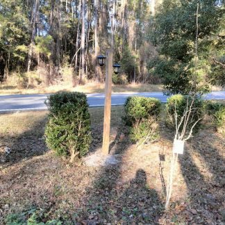 Solar Lights on a pole