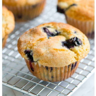 Wild Blueberry Muffin