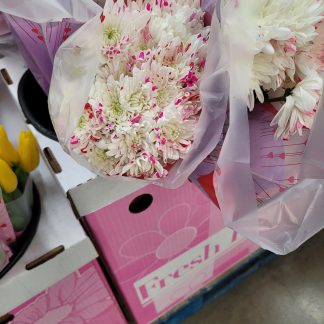 bouquet of white chrysanthemums with pink-tipped petals