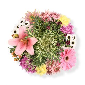 Bloom Haus™ Sweet Fresh Flower Bouquet - Hot Pink/ White/ Orange